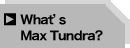 What's Max Tundra?
